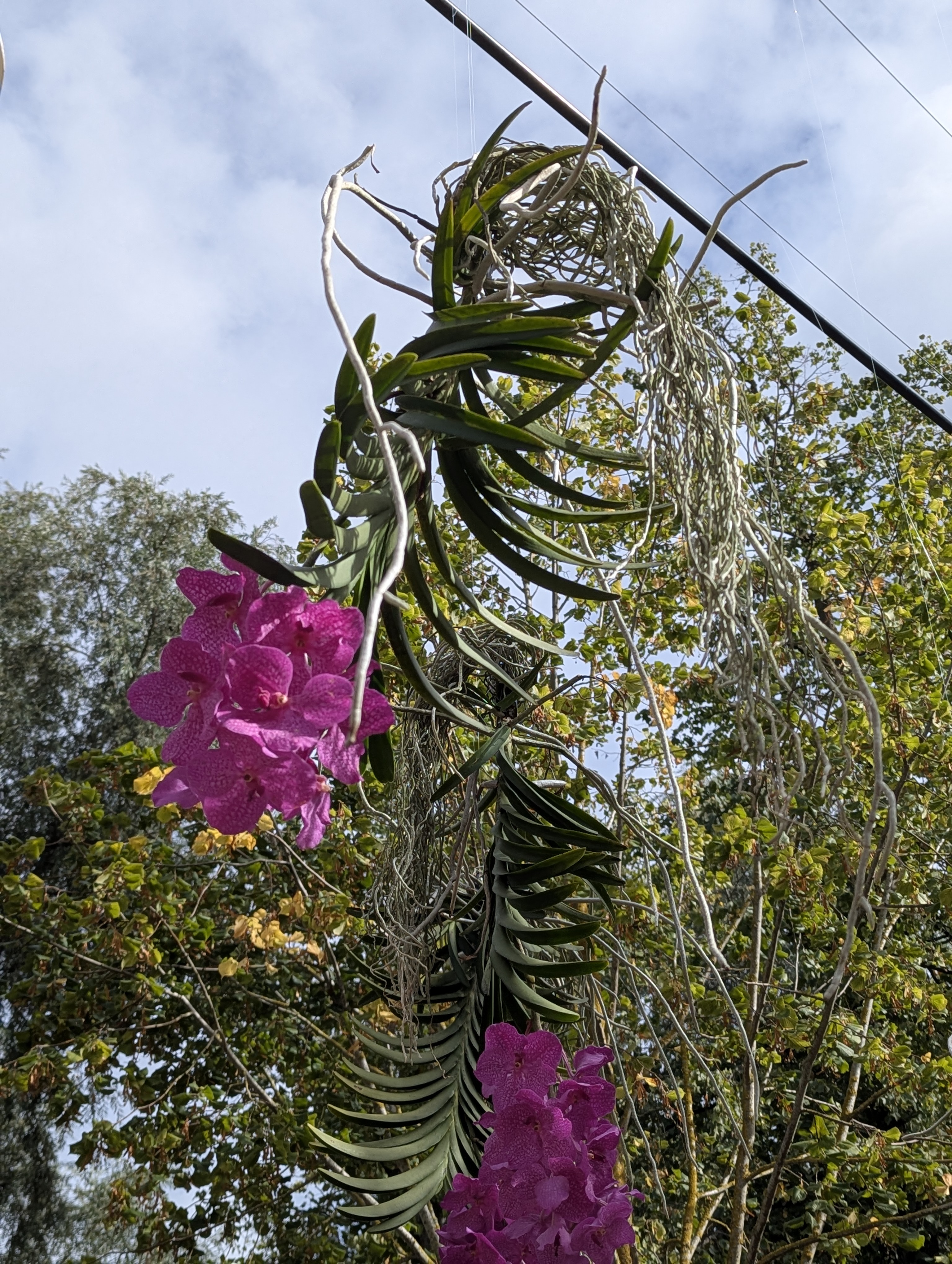 Copenhagen, SSPC, Tivoli, Denmark